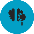 Illustration of the left and right hand side of the brain with a magnifying glass.